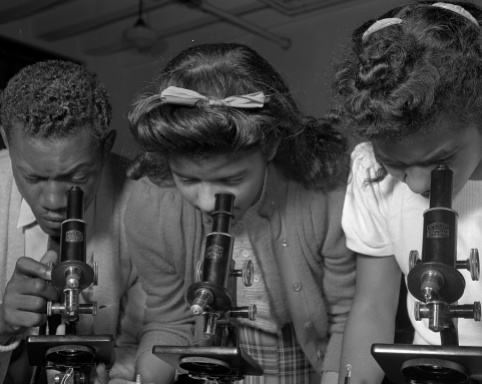 Daytona Beach, Florida. Bethune-Cookman College. Students using microscopes